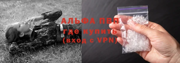 PSILOCYBIN Михайлов