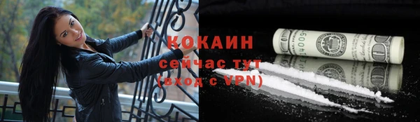 PSILOCYBIN Михайлов