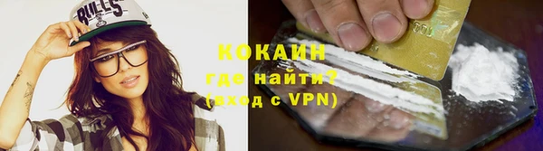 шишки Михайловск