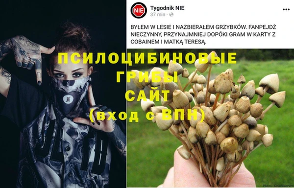 Альфа ПВП Михайловка