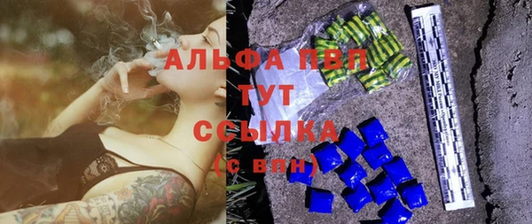 шишки Михайловск