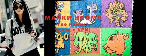 шишки Михайловск