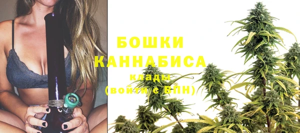PSILOCYBIN Михайлов