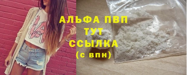 PSILOCYBIN Михайлов