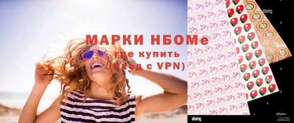 шишки Михайловск