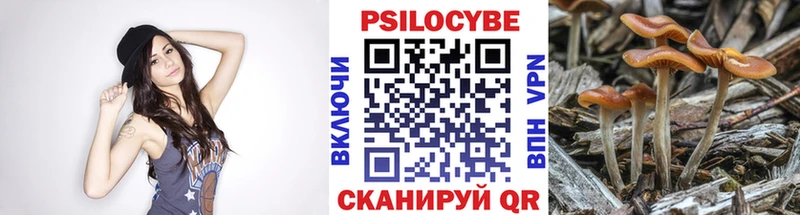 Псилоцибиновые грибы мухоморы  где купить наркотик  Северобайкальск 
